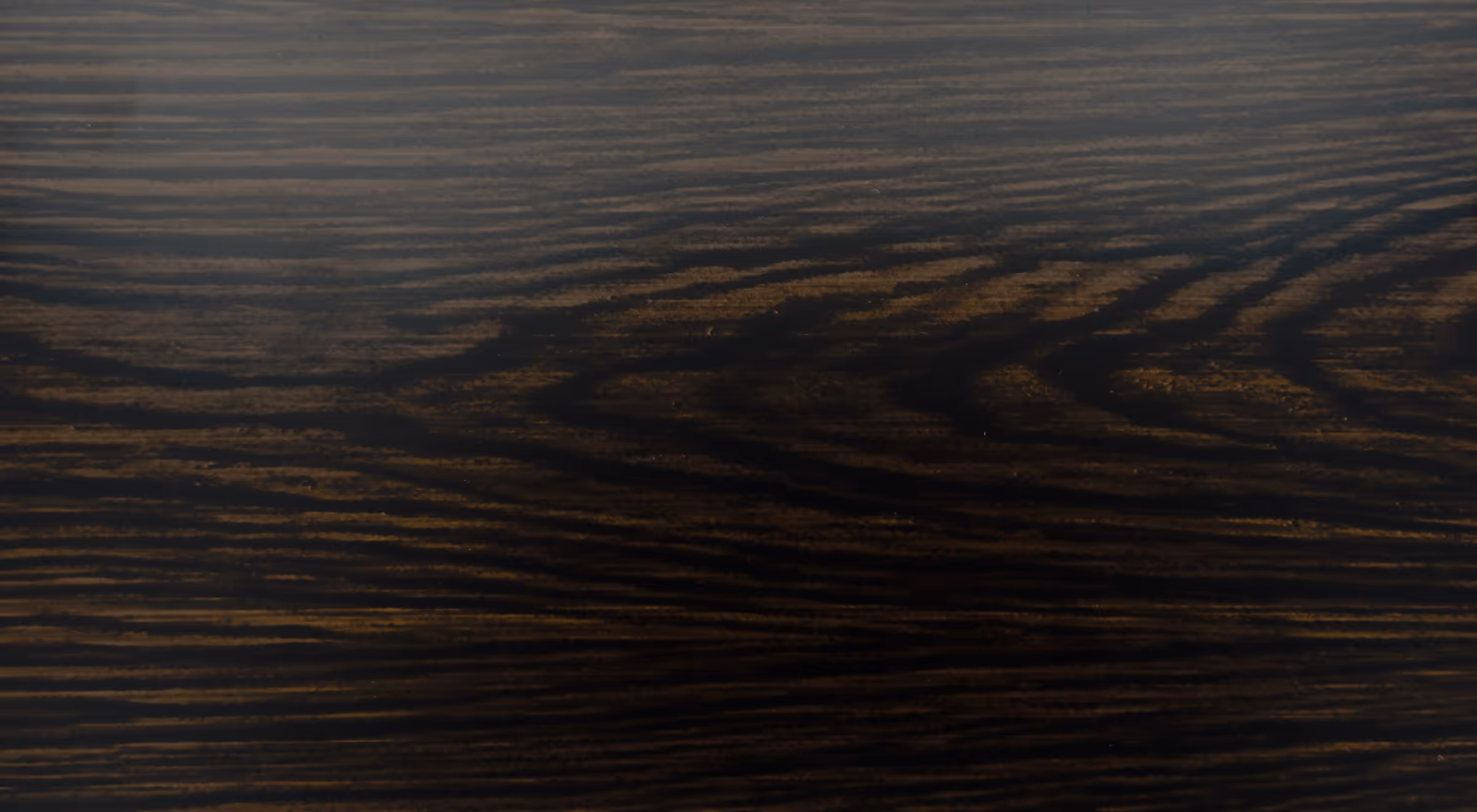 Black Walnut 745 finish sample