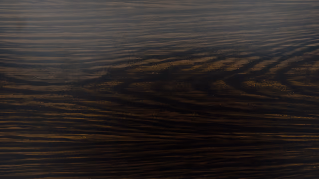 Black Walnut 745 finish sample