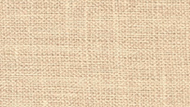 HG 5005 finish sample