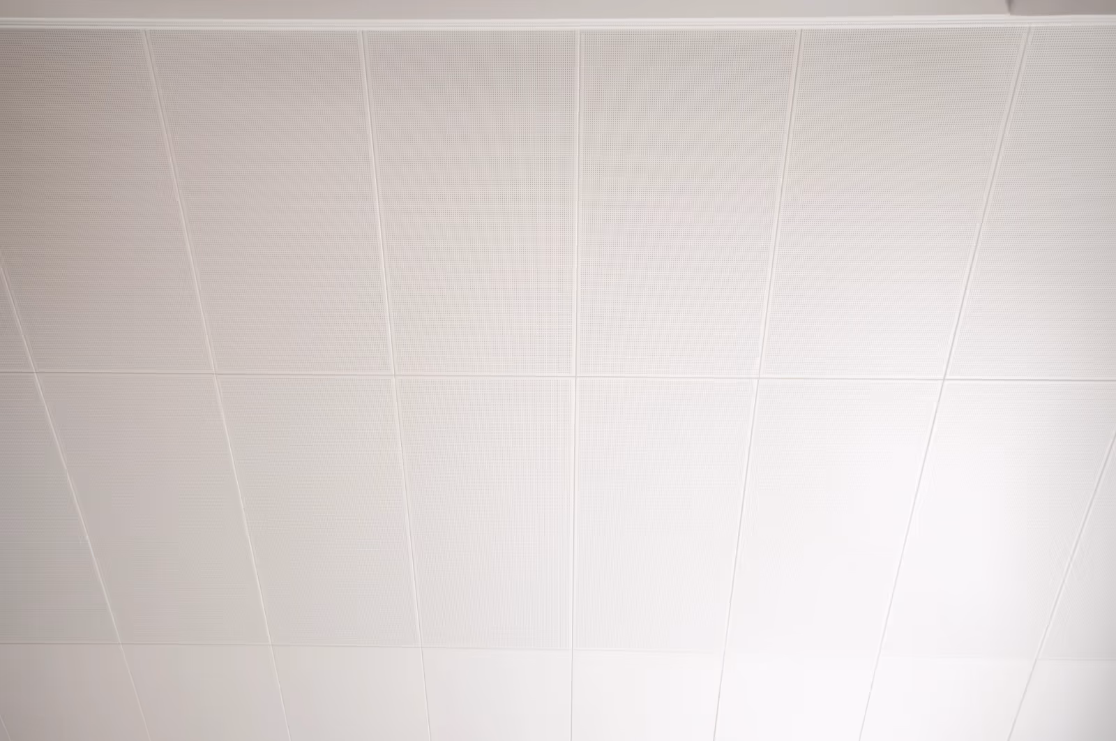 Close view of a plain white clip-in ceiling panel face
