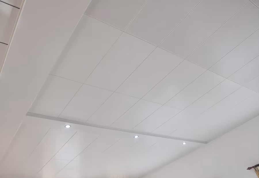 Clip-in ceiling with 2′ x 4′ panels