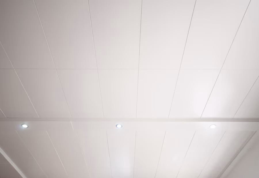 Clip-in ceiling with 2′ x 4′ panels